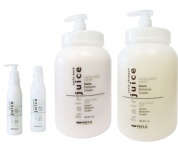 Hair Juice aprs shampooing cheveux friss